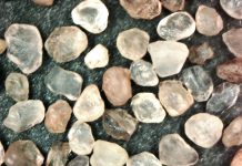 Sandkunskap sprids både nationellt och internationellt