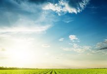 Överskottssand – en produkt inte avfall